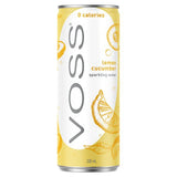 Voss Lemon Cucumber Can
